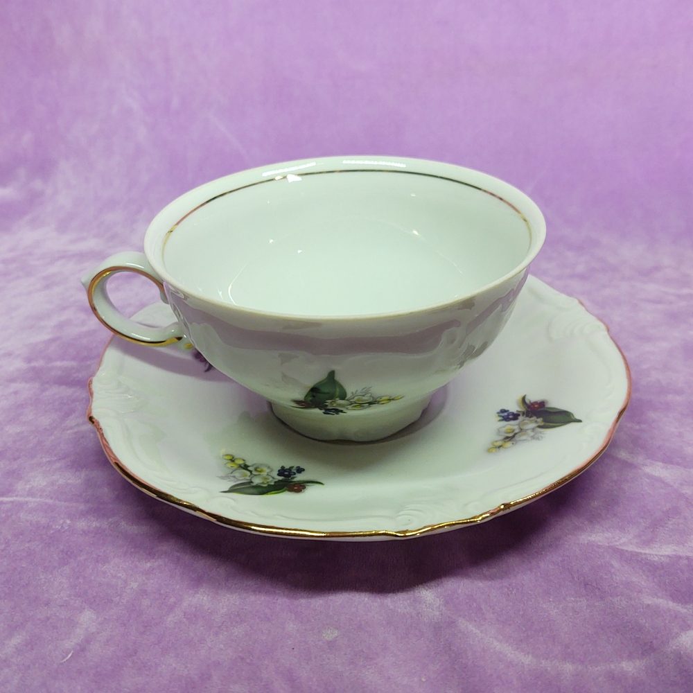 Delicate Winterling Bavaria Teacup and Saucer Set